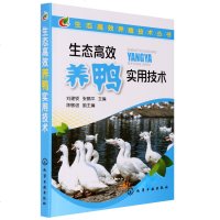 生态高效养鸭实用技术 养鸭技术大全书籍 鸭养殖大全 科学养鸭教程书籍 鸭疾病快速诊治防治大全淡水鱼养殖技术问答/绿色
