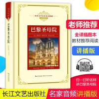   巴黎圣母院书正版  原著雨果  巴黎圣母院书李玉民译正版 原著  巴黎圣母院长江文艺出版社 世界名著 外国小说 
