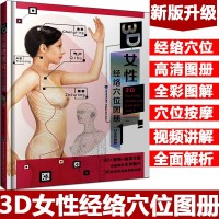 3D女性经络穴位图册(白金珍藏版)穴位按摩书 女性人体经络穴位标准大图册图解书美容塑身保健常见病按摩女性经络穴位高清