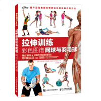 拉伸训练彩色图谱 网球与羽毛球 网球 羽毛球 壁球 扳手球