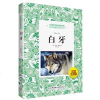 白牙 美国青少年喜欢读物书 动物小说励志双语翻译 科普3-4-5-6年级小学生课外 少儿儿童文学名著课外阅读正版