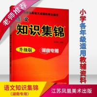 正版 知识集锦 小学语文 湖南专用 升级版 1~6年级适用 小学各年级适用教辅 快速提高语文成绩的得力助手 江苏
