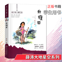 升旗日 金麦田童书馆 薛涛大地星空系列 曾入选大学、中学各类教科书 贴近现实 天然质朴 直击少年心灵 含蓄幽默 富有