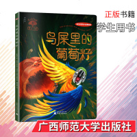鸟屎里的葡萄籽 神秘岛孩子的想象力启蒙绘本 少儿课外读物 儿童图画书故事书 少儿启蒙认知绘本 广西师范大学出版社正版