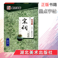 2019墨点字贴宋词三百首楷书经典文化系列字贴荆霄鹏书法硬笔钢笔临摹字贴学生成人练字初写者速成正版 邮