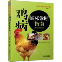 正版 鸡病临床诊断指南 高效养鸡技术大全 鸡病诊治书籍 鸡科学饲养教程 鸡病防治诊断与预防图谱 鸡场疾病防治策略管理