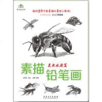 正版 艺泽美术系列素描铅笔画昆虫水族篇蜜蜂金鱼画法分步骤详解手绘新生从入到精通爱好者零基础技法美术书