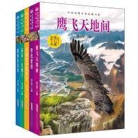 沈石溪动物小说野化猎豹 全5册 儿童读物 中国儿童文学 小学生课外阅读书籍 儿童故事书 儿童书籍 课外书 小学生