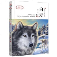 世界动物小说选 白牙 中小学生阅读课外书籍儿童文学囯际大奖