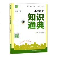 2019版 通城学典 小学语文知识通典 小学语文知识大全资料包 广东专版 小升初毕业升学夺冠 广东版 福建少