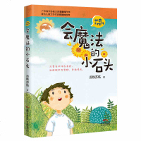 会魔法的小石头 小学生三四五年级课外阅读学校园书儿童文学书籍