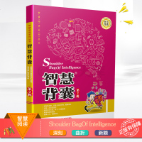 智慧背囊 第2辑 南方出版社阅读149篇部分含MP3配乐诵读第二辑中学生课外阅读书智慧阅读系列丛书 中学写作文辅导励