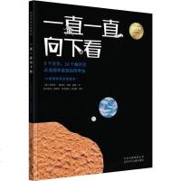 一直一直向下看 (美)史蒂夫·詹金斯(Steve Jenkins) 著 静博 译 其它儿童读物少儿 新华书店正版图书