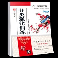 楷书习字帖中小学生钢笔字帖正版分类强化训练 钢笔字帖学与练成人楷书速成大学生临摹楷书练字帖文艺小清新字帖高中男生字帖