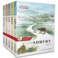 曹文轩画本全套5册 系列的书正版 儿童文学系列书 纯美小说文集雪灯笼 埋在雪下的小屋 四五六年级必读老师推荐 一头