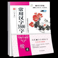 楷书习字帖中小学生钢笔字帖正版 常用汉字3500字 钢笔字帖学与练成人楷书速成大学生临摹楷书练字帖文艺小清新字帖高中