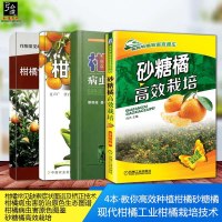 4本 柑橘桔子种植技术大全教材书籍 柑橘病虫害原色图鉴 砂糖橘高效栽培 常见缺素症状图谱及矫正技术 柑橘病虫害防治与