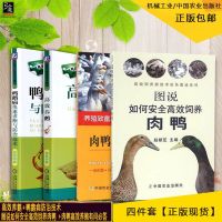 4册 养鸭技术书籍大全 轻松学养肉鸭 高效养鹅 鸭鹅病防治技术 图说如何安全高效饲养肉鸭 肉鸭高效养殖有问必答 鸭养