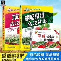 【草莓种植栽培技术大全书籍】草莓高效栽培+棚室草莓高效栽培+草莓病虫害诊治图册 大棚草莓种植书 无公害草莓致富生产技