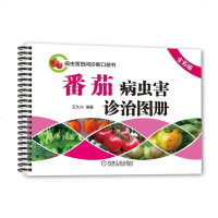 番茄病虫害诊治图册(全彩版)工业农业技术 农业 农业基础科学 番茄常见侵染性病害 番茄虫害的诊断 王久兴