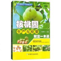 核桃园生产与经营 核桃高效栽培 核桃病虫害诊治 核桃树种植书籍 优质核桃规模化栽培技术大全 核桃树的种植与管理整形