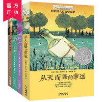 长青藤大奖小说书系第二辑7-10全四册 从天而降的幸运 蓝莓季节等 大奖读物 适合小学生初中生阅读10-12-15岁