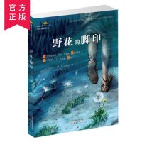 野花的脚印 国际大奖小说成长版艾非著徐诗思 成长励志6-12国际大奖小说小学生四五六年级8-12岁课外读物书国际获奖