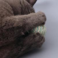 猫剑麻球猫抓球声逗猫球互动猫抓球猫抓板逗猫猫咪玩具用品