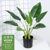 大型北欧旅人蕉仿真绿植天堂鸟盆栽龟背叶龟背竹客厅ins植物装饰