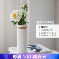 创意摆件花瓶北欧简约现代陶瓷麻绳插花摆设客厅白色文艺家居饰品
