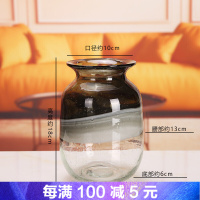 玻璃花瓶透明色欧式彩色透明现代简约客厅茶几插花器水培富贵竹绿萝摆件