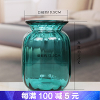 创意摆件彩色花瓶水培绿萝玫瑰插花透明玻璃现代家居玄关卧室装饰迷你
