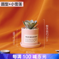 假花盆栽装饰品ins北欧桌面绿植小仿真植物装饰仙人掌摆件多肉客厅室内