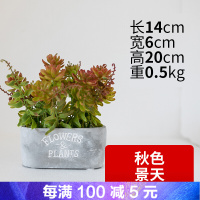 假花盆栽装饰品假摆件仿真花客厅插花塑料室内茶几摆设装饰仿真植物小