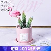 假花盆栽装饰品仿真植物多肉仙人掌摆件北欧ins绿植仿真花客厅家居装饰