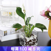 方形玻璃花瓶简约加厚透明正缸大号桌面摆件水培花器水养植物花盆