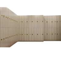 卡里鳄木质换衣柜更衣柜储物柜KLE—JDG02宿舍柜置物柜储藏柜