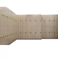 卡里鳄木质换衣柜更衣柜储物柜KLE—JDG02宿舍柜置物柜储藏柜