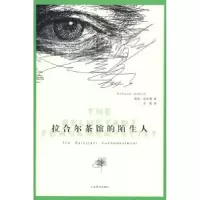 拉合尔茶馆的陌生人（巴基斯坦）哈米德 吴刚9787532746941