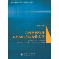六西格玛管理DMAIC方法操作实务9787118074468