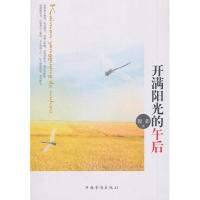  满阳 的午后9787511334275