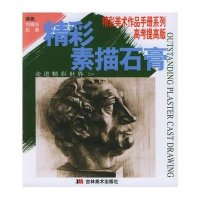 精彩色彩静物.肖像9787538615661