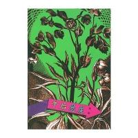 镜子里的城市--午后悬崖铁凝9787806730874