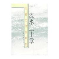 王安忆作品系列:流水三十章9787532103799