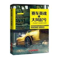 赛车英魂之大风起兮9787568004923