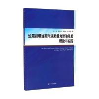 浅层超稠油蒸汽辅 重力泄油开发理论与实践9787518305384