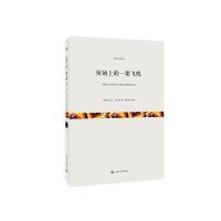 屋顶上的一架飞机马丁·瓦尔泽9787532155859