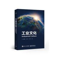 工业文化9787121289033