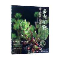 爱上绿色萌宠:多肉植物9787534174933