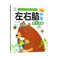 左右脑开发(第4阶段)风车文化9787558304842